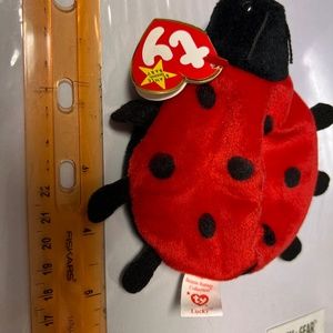 Ty lady bug
